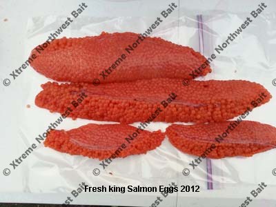 Fresh Salmon Egg, Fresh Salmon Roe, Xtreme Northwest Bait Co